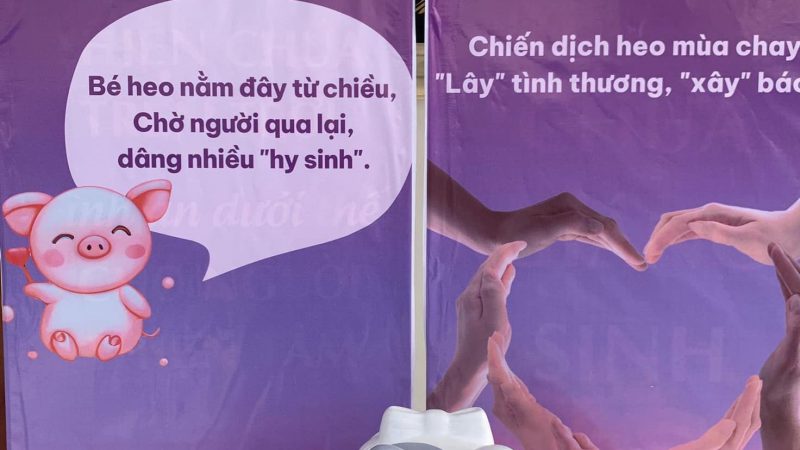 PHÁT ĐỘNG CHIẾN DỊCH HEO MÙA CHAY