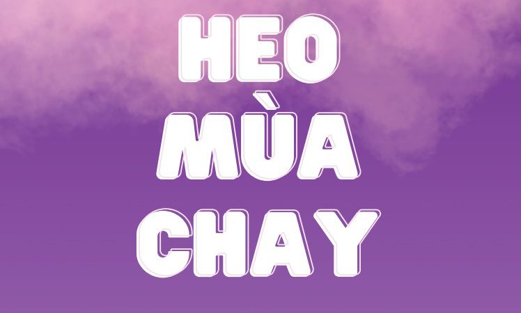 CHIẾN DỊCH HEO MÙA CHAY