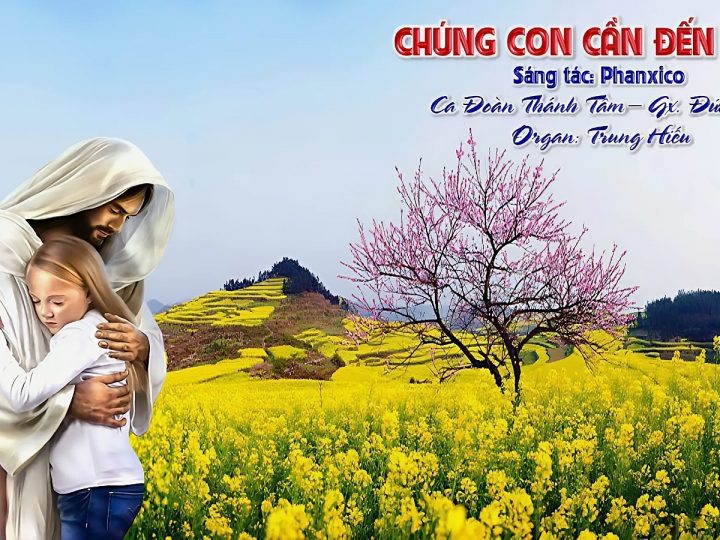 CHÚNG CON CẦN ĐẾN CHÚA-ST: PHANXICO- CĐ THÁNH TÂM